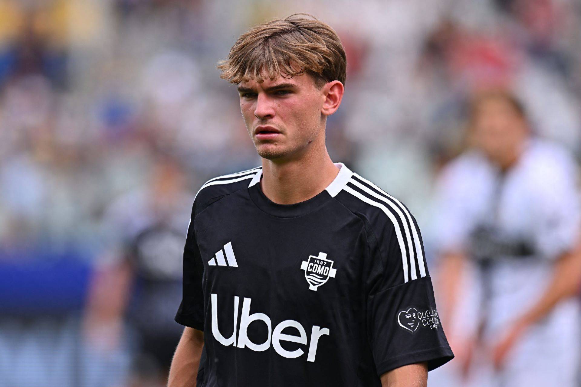 交织的画卷 交织的画卷